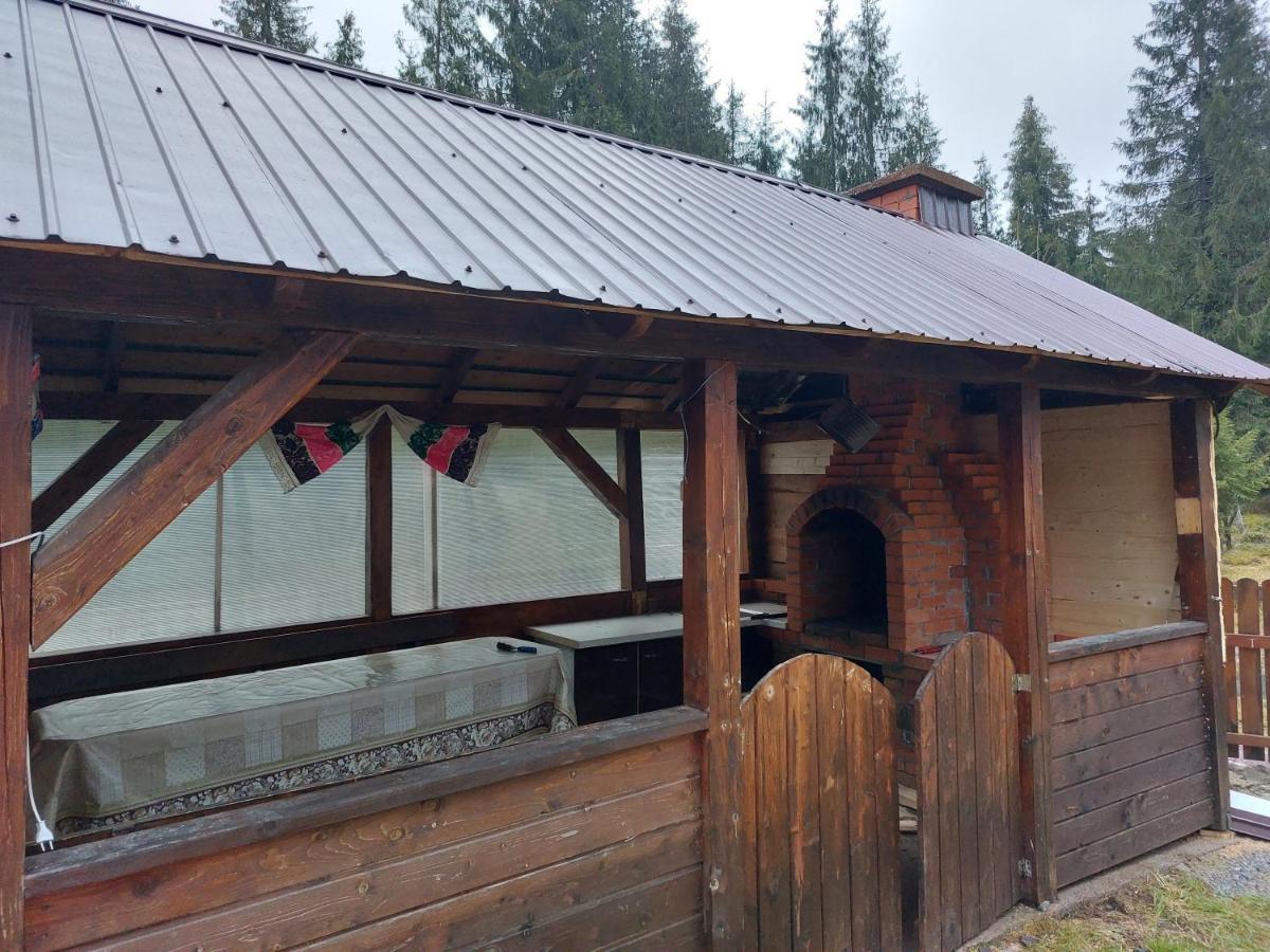 Casa Nico Nelu Duplex Ξενοδοχείο Arieşeni Εξωτερικό φωτογραφία