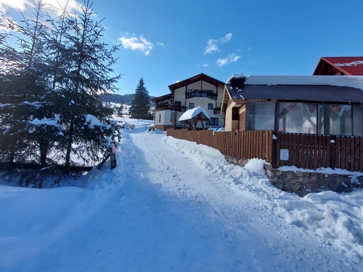 Casa Nico Nelu Duplex Ξενοδοχείο Arieşeni Εξωτερικό φωτογραφία