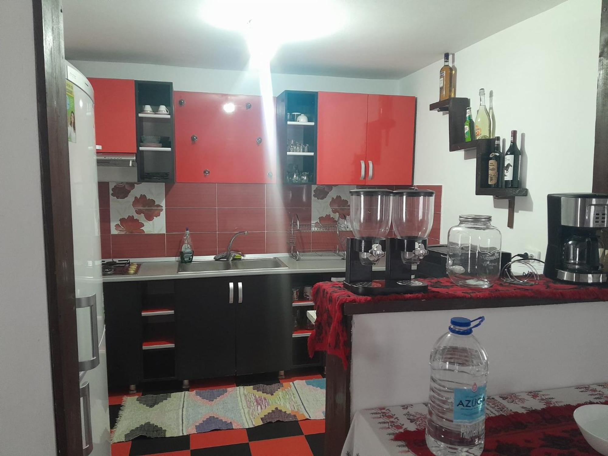 Casa Nico Nelu Duplex Ξενοδοχείο Arieşeni Εξωτερικό φωτογραφία